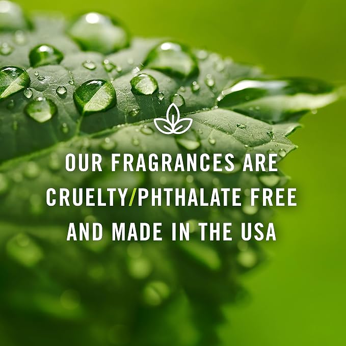 P&J Trading Fragrance Oil | Blueberry Oil 100ml - Image 6