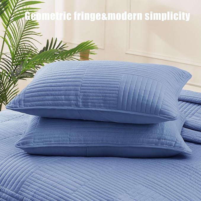 Whale Flotilla Ultra Soft Twin Quilt Bedding Set, Lightweight Microfiber Bluish - Image 4
