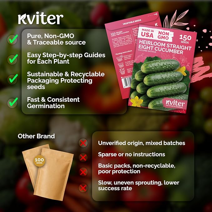 KVITER 150 Straight Eight Cucumber Seeds - Image 5