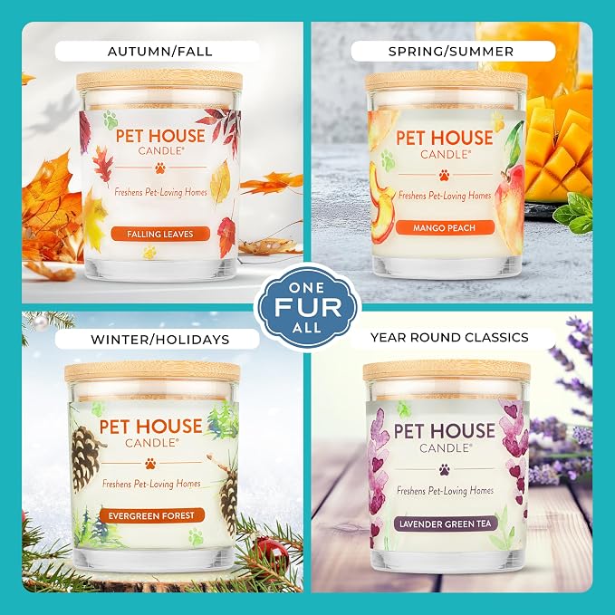 Pet House Candles, Plant-Based, Clean Burning, Long Lasting Pet Friendly Candles - Image 4
