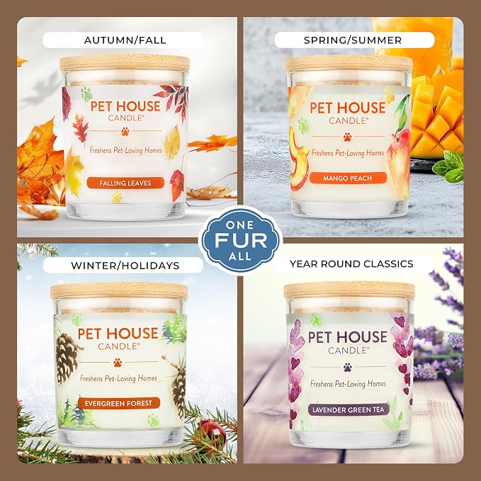 One Fur All Pet House Candles, Long Lasting, Clean Burning, Soy Wax Scented - Image 4