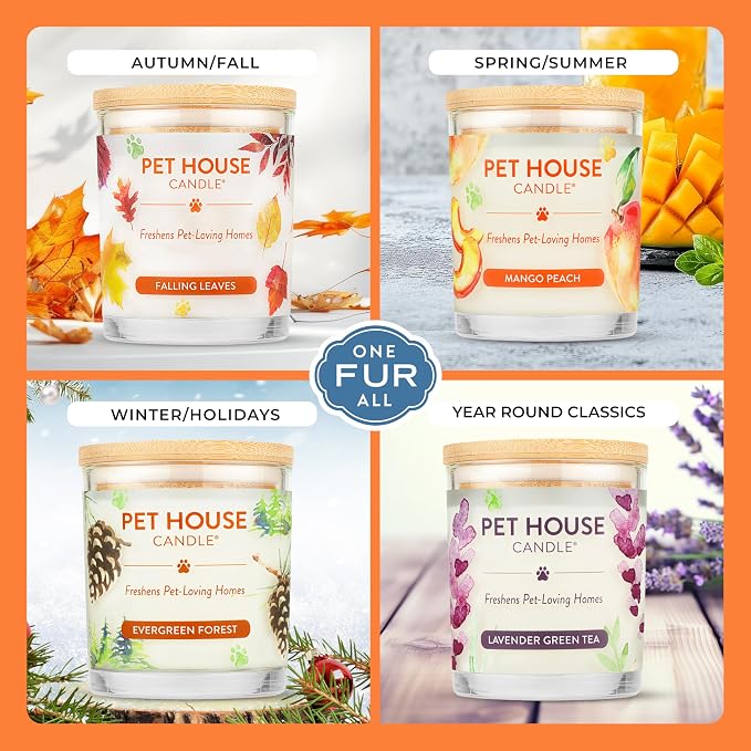One Fur All Pet House Fall Candles, Long Lasting, Clean Burning, Soy Wax - Image 4