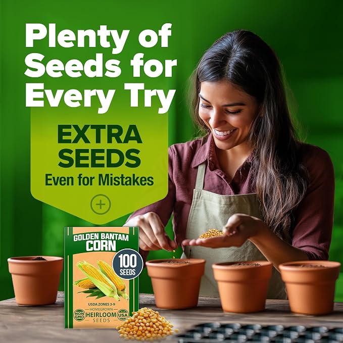 HOME GROWN Golden Bantam Sweet Corn Seeds 100+ Heirloom Non-GMO Seeds - Image 7