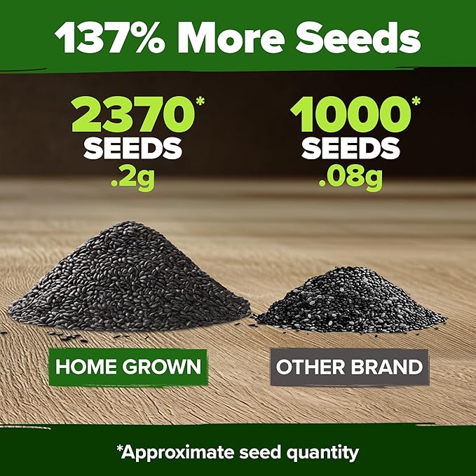 HOME GROWN Non GMO Peppermint Seeds Pack 2, 370 Heirloom Mint Seeds - Image 3