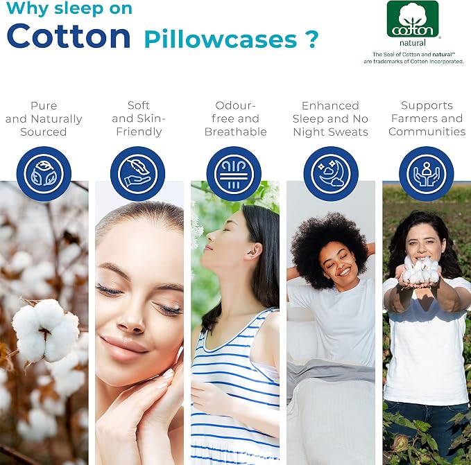 Thread Spread 100% Egyptian Cotton Pillow Cases Queen Size Set of 2 - Image 6