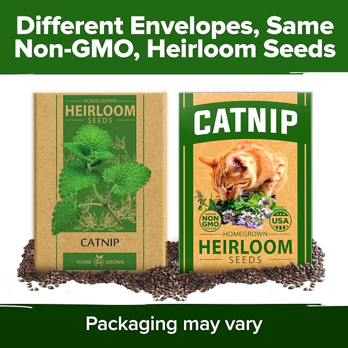 HOME GROWN Non GMO Catnip Seeds Heirloom Herb 2, 116 Seeds - Image 9