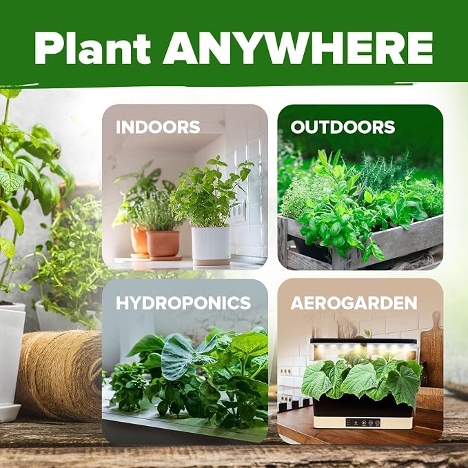 HOME GROWN 30 Herb Seeds for Planting 10, 900+ Non-GMO Heirloom Seeds | Extra - Image 9