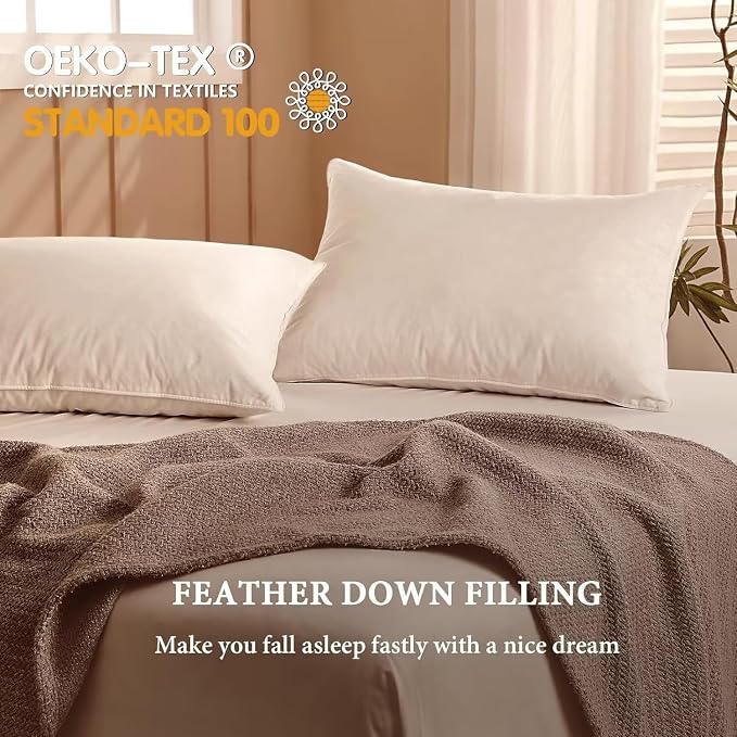 BHZ Goose Down Feather Pillows Queen Size - Image 4