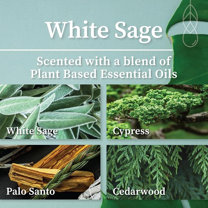Hemlock Park White Sage Apothecary Hand-Poured Scented Candle | Crackling Wood - Image 2