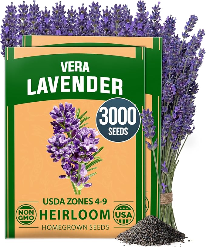 HOME GROWN Non GMO English Lavender Seeds 3, 000+ Wildflower Seed by HOMEGROWN