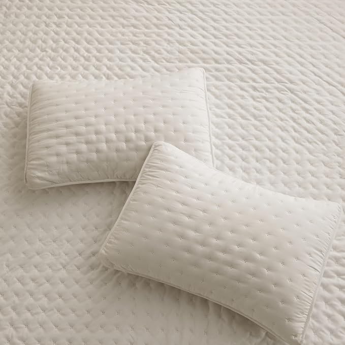 ROARINGWILD Beige Queen Size Quilt Bedding Set - Image 6