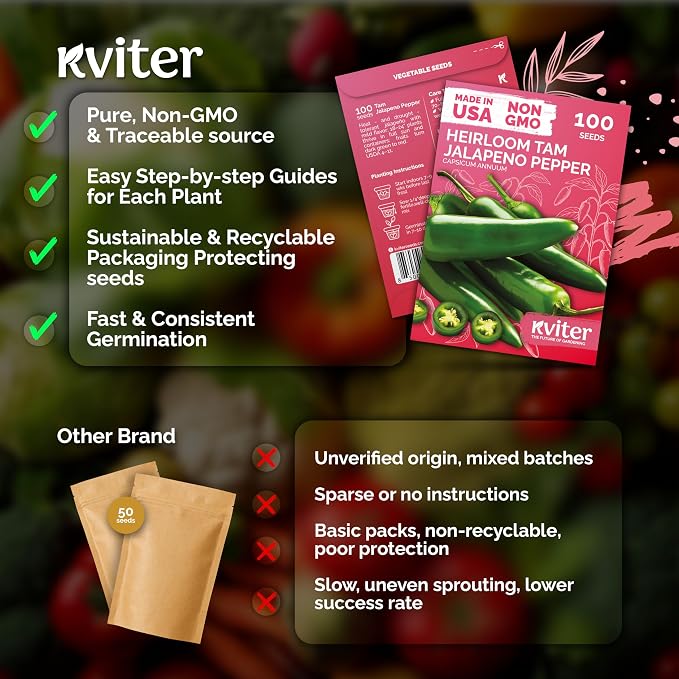 KVITER 100 Tam Jalapeno Pepper Seeds - Image 5