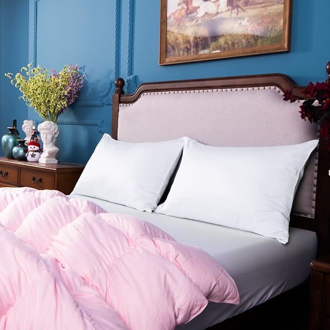 NTBAY Egyptian Cotton Queen Pillowcases - Image 7
