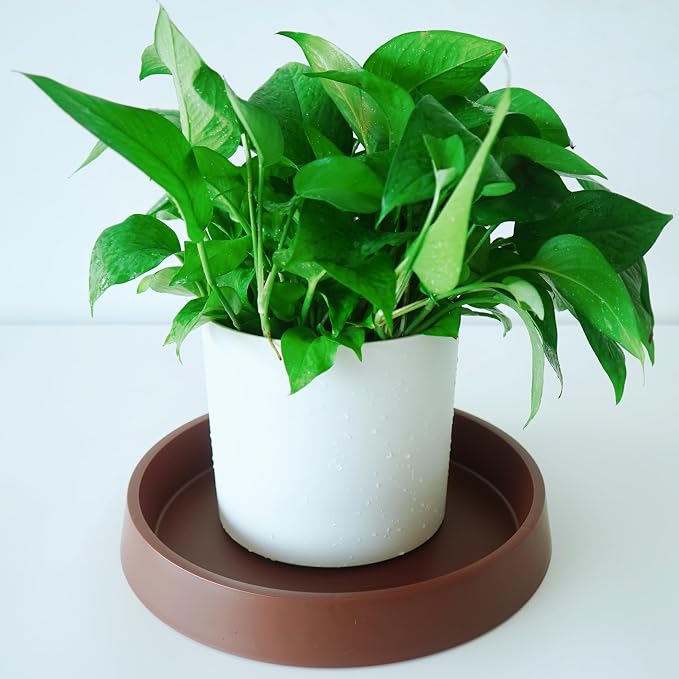 1 Pack Plant Saucer Tray for Ceramic Plastic Pots, 6 inch Plant Saucers for - Image 4