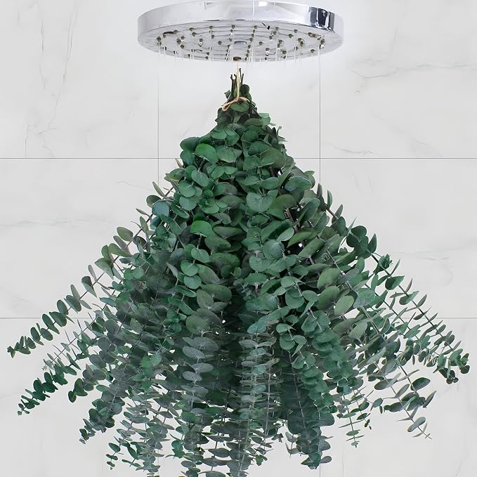30 Pcs Eucalyptus for Shower, Dried Hanging Bundle -17in Real Eucalyptus Stems by CENELO