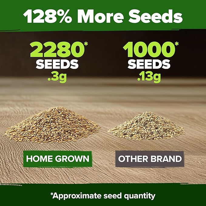 HOME GROWN German Chamomile Seed Pack 2, 280 Non GMO Heirloom Seeds - Image 3