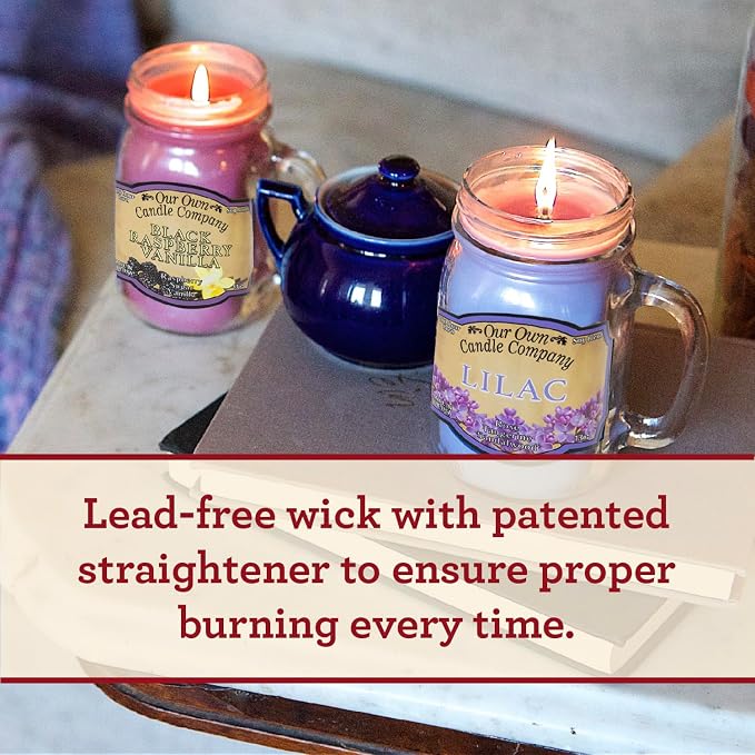 Our Own Candle Company, Bamboo & Aloe Scented Mason Jar Candle, 100 Hour Burn - Image 4