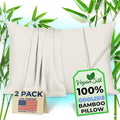 Pillow Cases - 100% Viscose Derived from Bamboo - Cooling Pillowcase - Queen by VeganSilk