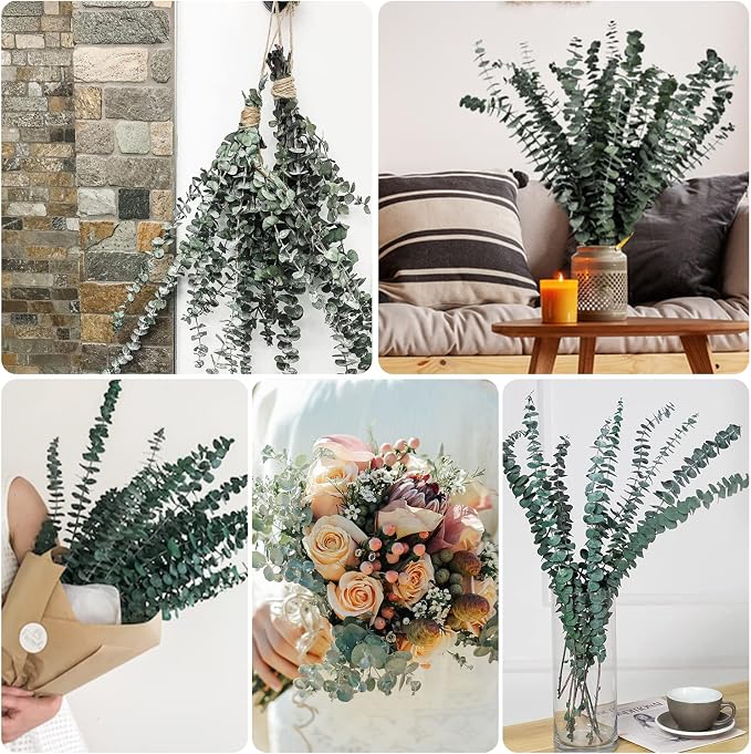 20 Pcs Dried Eucalyptus for Shower - Image 6