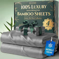 DECOLURE 100% Viscose Derived from Bamboo Sheets Twin Size by DECOLURE