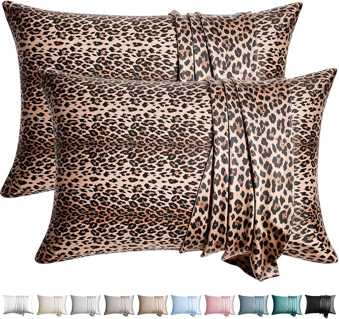 WLOSJ100% Silk Pillow Cases 2 Pack Queen Size Mulberry Silk Pillowcase by WLOSJ