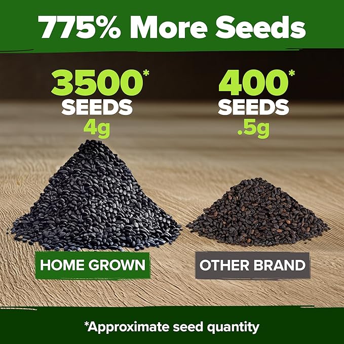 HOME GROWN Genovese Basil Seeds 2 Pack - Image 3