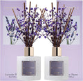 Cocorrína Premium Reed Diffuser Set by COCORR%C3%8DNA
