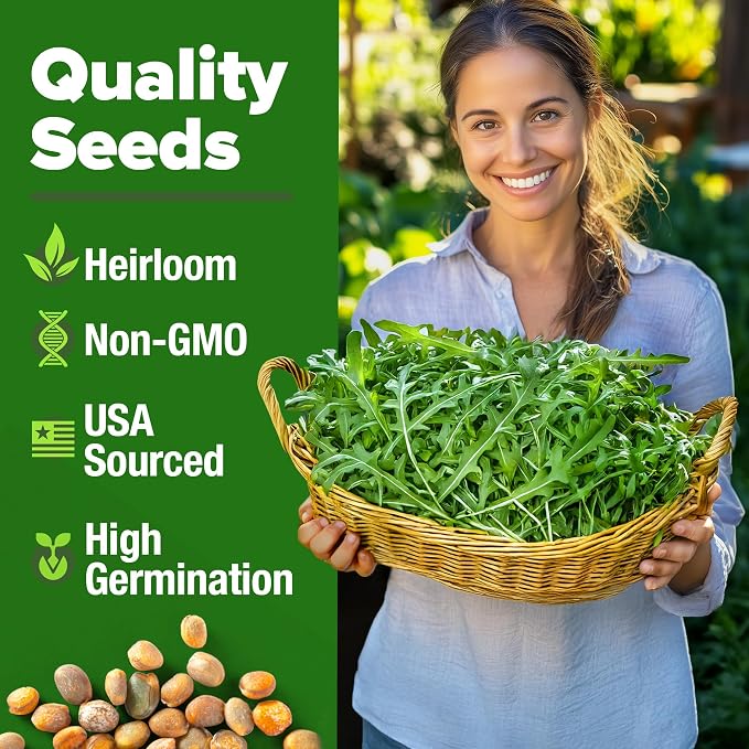 HOME GROWN Arugula Roquette Seeds 4350+ Bulk Pack Heirloom Non-GMO, High - Image 2
