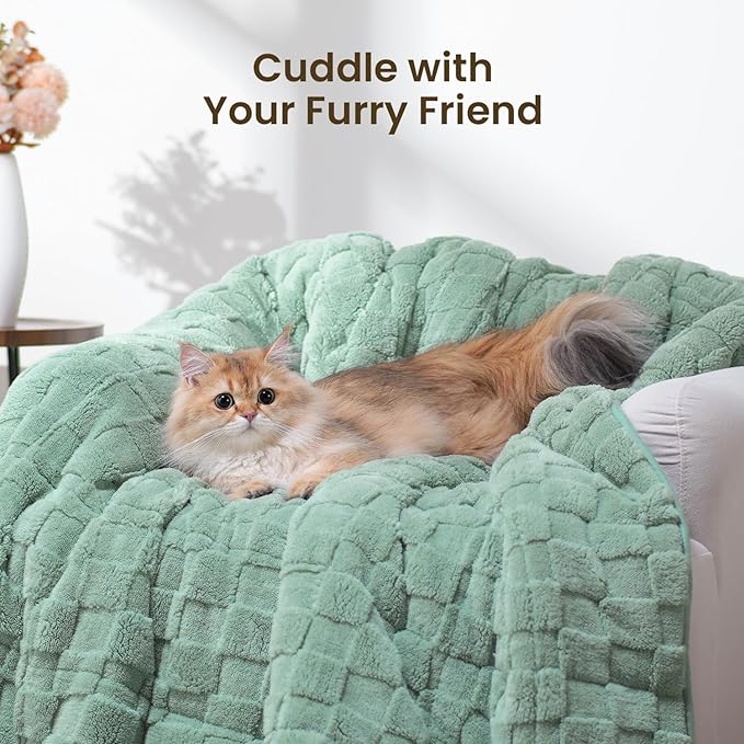 Drewin Weighted Blanket Full Size 15 Pounds, Ultra-Soft Fluffy Jacquard Sherpa - Image 6