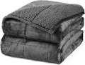Aemicion Sherpa Fluffy Weighted Blanket by Aemicion