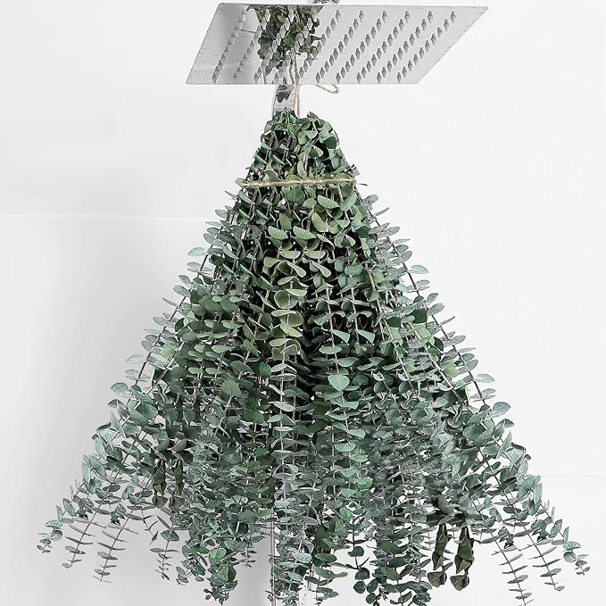 30 Pcs Dried Eucalyptus Stems 17" Real Eucalyptus by FAVOWREATH