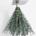 30 Pcs Dried Eucalyptus Stems 17" Real Eucalyptus by FAVOWREATH