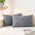 Aegero Pack of 2 Corduroy Decorative Throw Pillow Covers 12x24 Inch Soft by Unknown