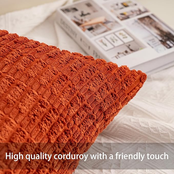 Aegero Pack of 2 Corduroy Decorative Throw Pillow Covers 24x24 Inch Soft - Image 2