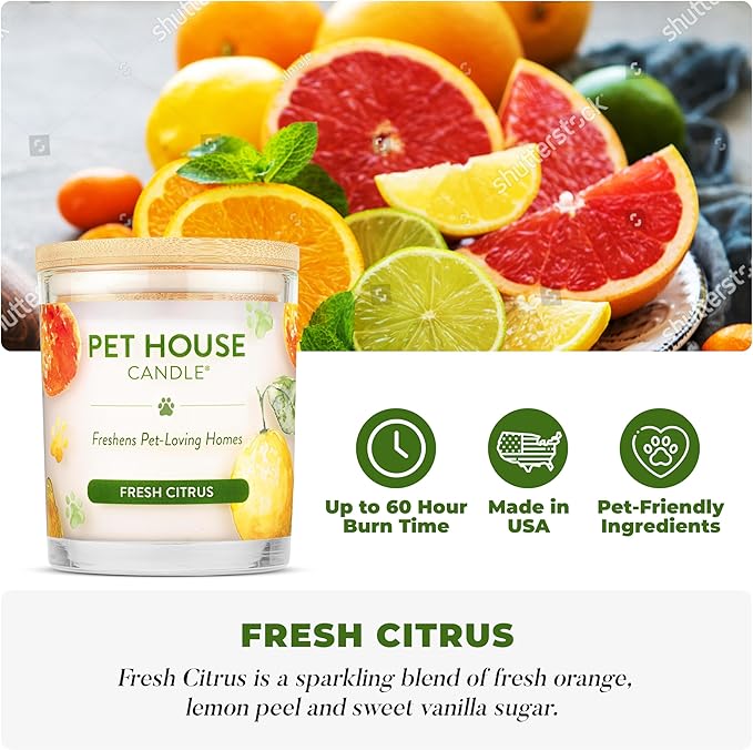 One Fur All Pet House Candle Plant-Based/Soy - Image 2
