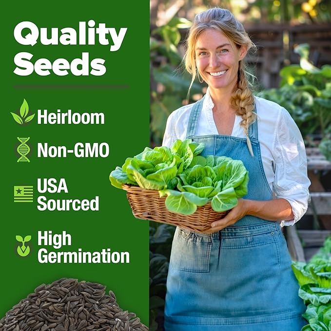 HOME GROWN Buttercrunch Lettuce Seeds 3950+ Bulk Pack Heirloom Non-GMO - Image 3