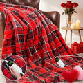 Heated Electric Blanket Full Size, 72X84 Heating Blanket, Fast Heating Washable by OCTROT