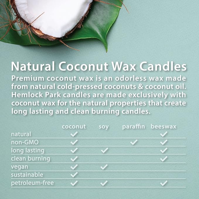 Hemlock Park Yuzu Citrus Apothecary Hand-Poured Scented Candle | Crackling Wood - Image 5