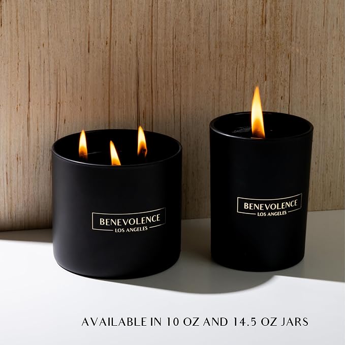 Benevolence LA 3 Wick Candle, 45 Hour Burn - Image 8