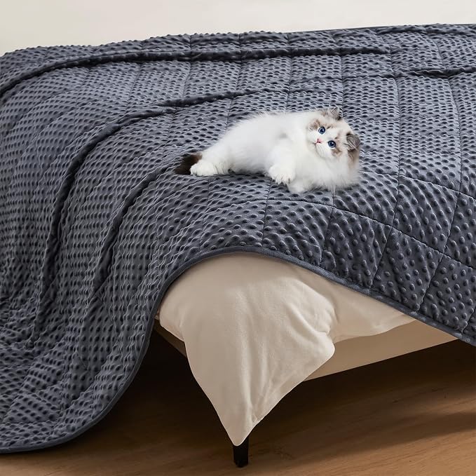 Topcee Weighted Blanket King Size, Minky Dots Heavy Blanket - Image 6