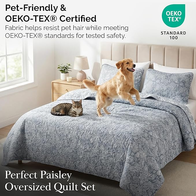 Southshore Fine Living, Inc. Paisley Quilt Queen Size Bedding Set, Full Size - Image 5