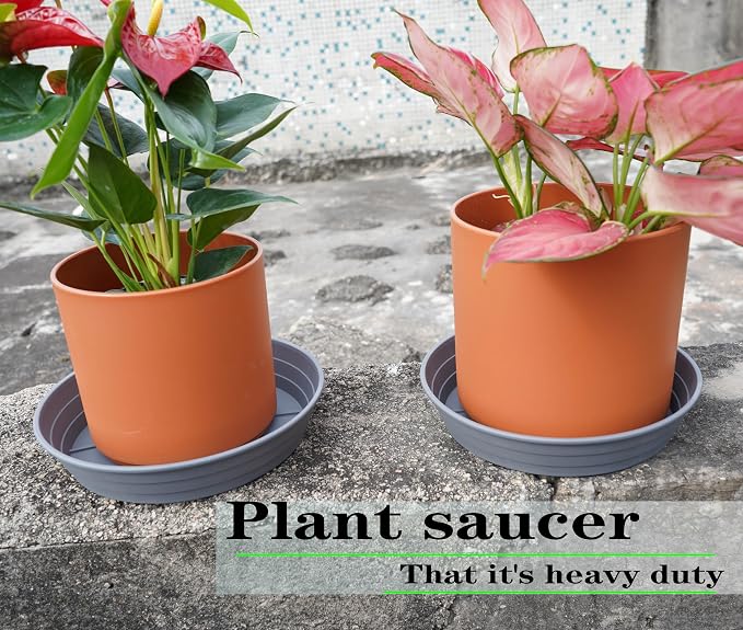 Plant Saucer 8 Inch 4 Pack 6 8 10 12 14 16 18 20 25, Plastic Plant Trays - Image 3