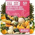 KVITER 50 Small Gourd Seeds Mix – Ornamental Fall Decor Gourds, Non GMO & by KVITER