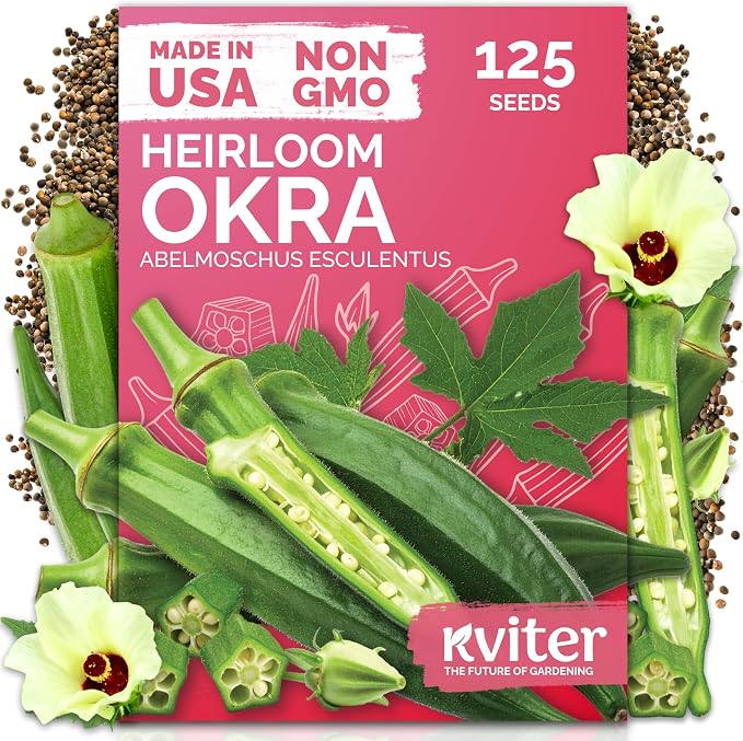 KVITER 125 Clemson Spineless 80 Okra Seeds by KVITER