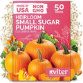 KVITER 50 Sugar Pumpkin Seeds Organic – Small Pumpkin Heirloom Seed, Sweet by KVITER
