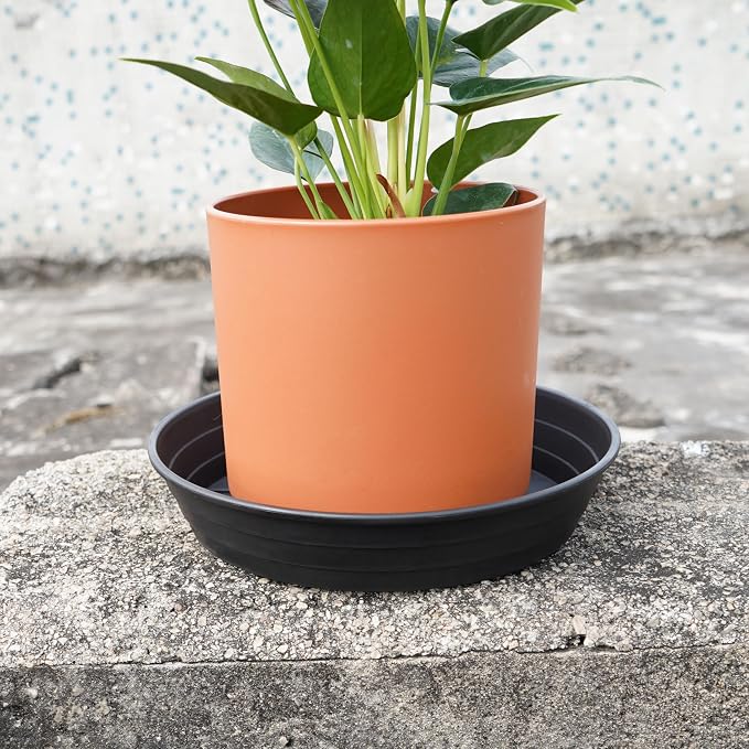 LWALRS 4 Packs 6 Inches Plant Saucer Drip Trays, Round Plastic Plant Pot - Image 4