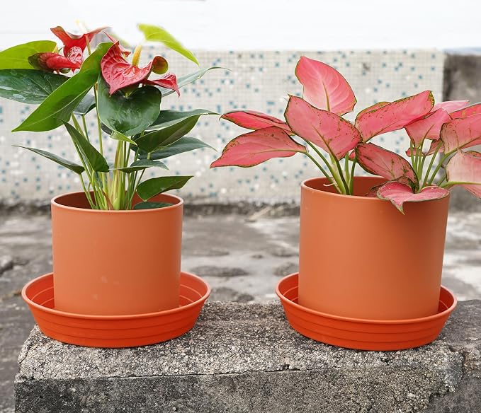 LWALRS Plant Saucer 14 Inch 4 Pack 6 8 10 12 14 16 18 20 25, Plastic Plant Trays - Image 3