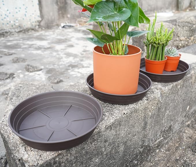 Plant Saucer 6 Inch 4 Pack 6 8 10 12 14 16 18 20 25, Plastic Plant Trays - Image 4