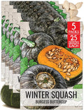 Seed Needs Winter Squash Seeds for Planting Burgess Buttercup Squashes by SeedNeeds