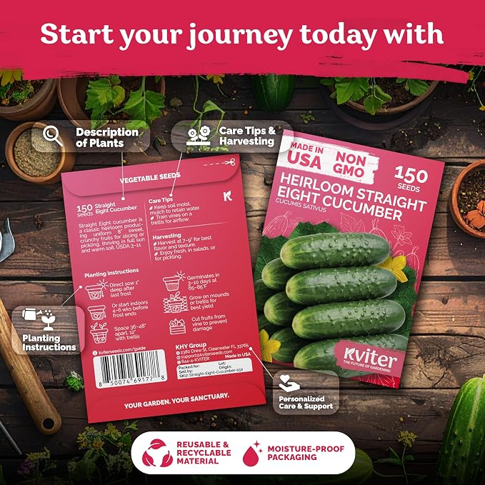 KVITER 150 Straight Eight Cucumber Seeds - Image 2
